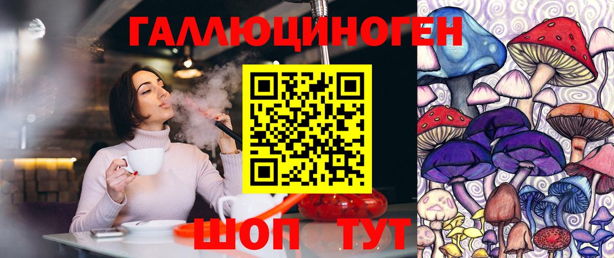 Псилоцибиновые грибы Psilocybine cubensis Кузнецк