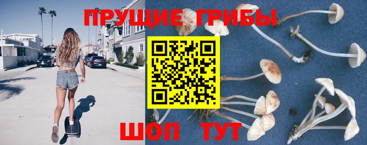 Псилоцибиновые грибы GOLDEN TEACHER  Вход с VPN  Кузнецк 